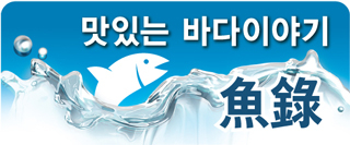 '빈자의 꽃등심' 고등어, 어디까지 아시나요?