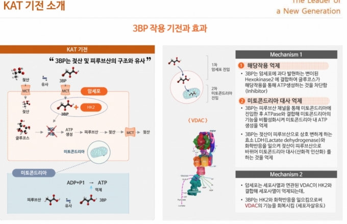 뉴지랩 파마의 KAT 기전 소개