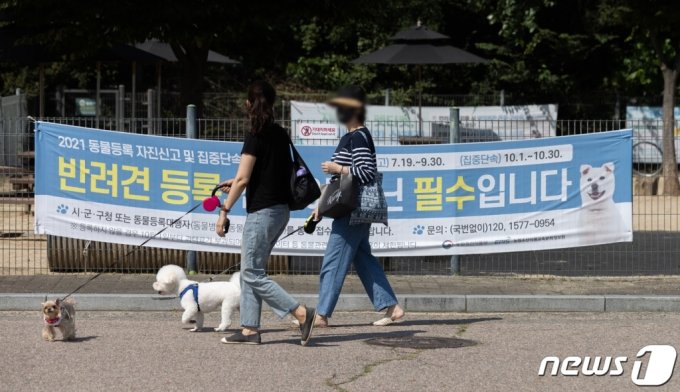 서울 마포구 월드컵공원반려견 놀이터를 찾은 시민들과 반려견들이 시간을 보내고 있다. /사진=뉴스1
