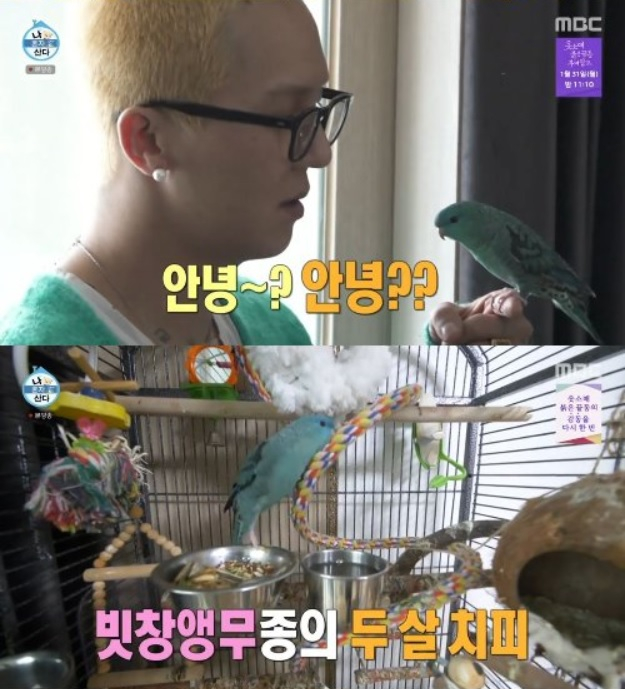 /출처=MBC '나 혼자 산다' 영상 캡처