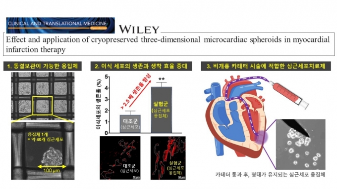 티앤알바이오팹 심근경색 세포치료제 관련 논문 설명. /사진제공=티앤알바이오팹