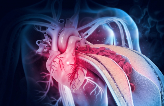 코로나19 환자에게 심혈관 합병증이 일어나는 원인을 영국 브리스톨대 연구진이 규명했다. / 사진=게티이미지뱅크