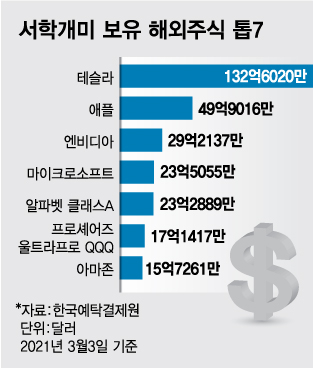 3개월째 큰 폭 조정, 충격의 서학개미…손실 키운 3대 실책 - 머니투데이