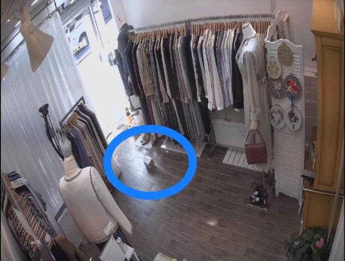 옷 가게 주인 B씨가 A씨가 택배를 가게 안에 던지고 갔다고 올린 CCTV 화면 /사진=온라인 커뮤니티