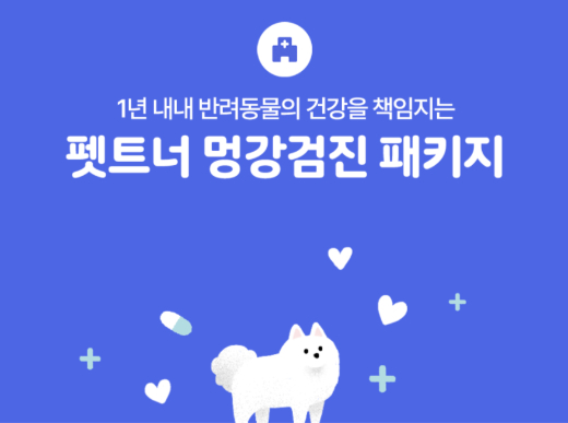 코로나에 늘어난 '펫족'…'댕댕이 건강검진+보험'에 뭉칫돈 - 머니투데이 코로나에 늘어난 '펫족'…'댕댕이 건강검진+보험'에 뭉칫돈 - 머니투데이