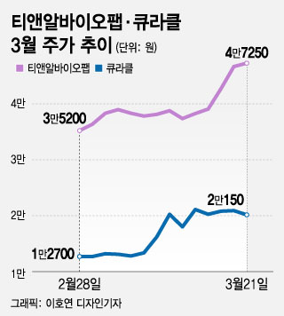 주가 반등 큐라클·티앤알바이오팹…"바이오 바닥, 이제 투자할 때?"