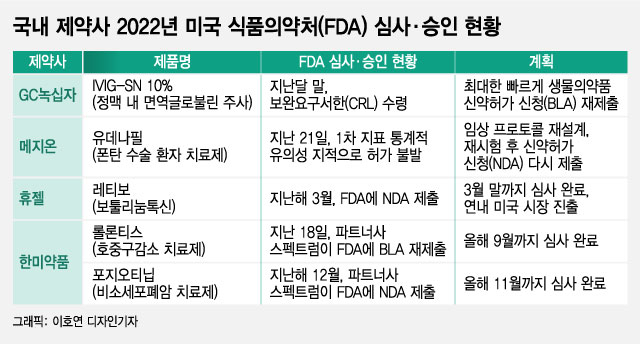 국내 제약사 신약, 연거푸 美 진출 좌절…재도전 성공 가능성은?