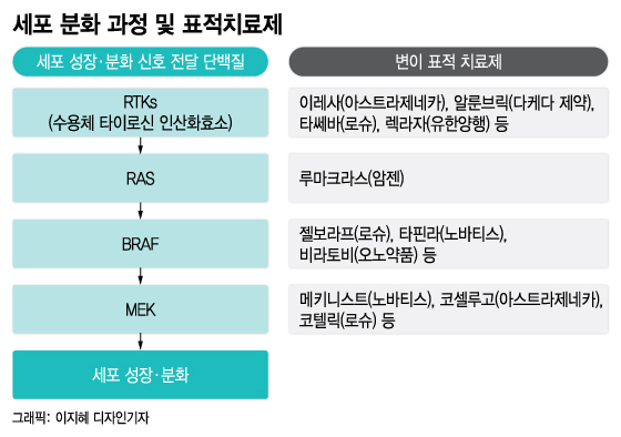 40년간 단 하나 개발된 폐암약 효과 입증… 국내 업체 '나이벡' 주목 - 머니투데이