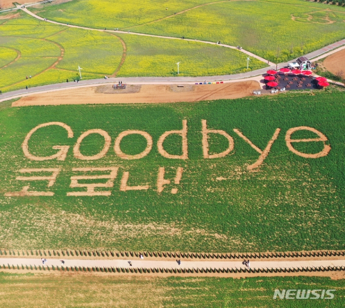 사회적 거리두기 전면 해제를 하루 앞둔 지난 17일 경기 안성 공도읍 안성팜랜드 호밀밭에 신종 코로나바이러스 감염증(코로나19) 극복을 염원하는 '굿바이 코로나' 문구가 새겨져 있다. /사진제공=뉴시스