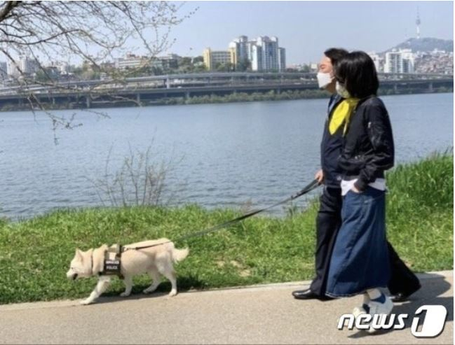 윤석열 대통령 당선인 아내 김건희 여사가 세월호 참사 8주기 다음날인 17일 '노란색 스카프'를 착용하고 윤 당선인, 반려견 토리와 함께 반포 한강공원을 산책하는 모습./사진=김건희 여사 공식 팬카페 캡쳐=뉴스1