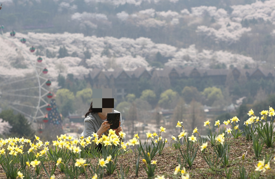 지난 12일 오후 경기 용인 처인구 에버랜드 하늘정원길 /사진=뉴스1  