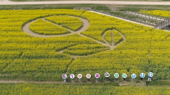 6·1 지방선거 코앞··· 지역 일꾼을 찾아라