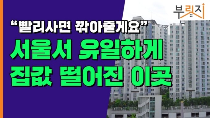 [부릿지]"빨리 사면 깎아줘요" 급매에 2억 '뚝'…서울 대단지도 휘청