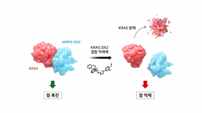 /사진제공=김성훈 연세대학교 연구팀