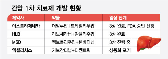 암사망 2위 간암, 1차 치료제 경쟁 본격화… HLB 별의 순간 잡을까?