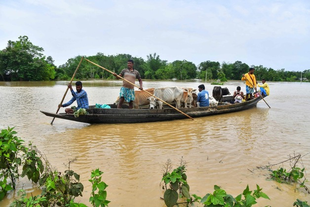 19일(현지시간) 폭우가 내려 물에 잠긴 인도 아삼주 나가온에서 주민들이 보트에 가축을 싣고 대피하고 있다./AFPBBNews=뉴스1