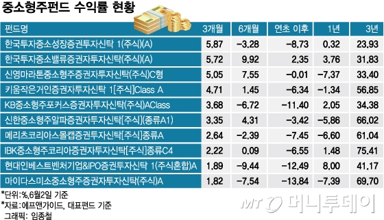 "하락장에서는 대형주보다 중소형주"…잘나가는 중소형주펀드