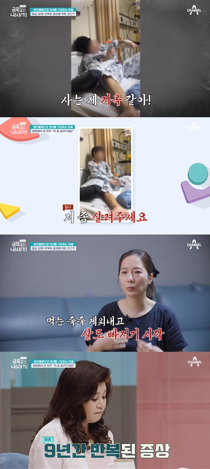/사진=채널A&#039; 금쪽 같은 내새끼&#039; 방송 화면 캡처