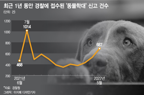 만삭 고양이 눈을 막대로 '콱'…동물학대를 자랑하는 사람들 - 머니투데이 만삭 고양이 눈을 막대로 '콱'…동물학대를 자랑하는 사람들 - 머니투데이