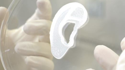 3D바이오쎄라퓨틱스가 3D프린터로 찍어낸 귀/사진=3D바이오쎄라퓨틱스 