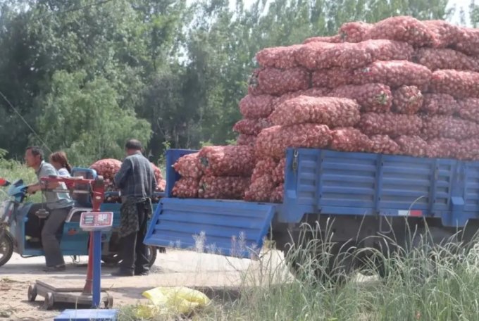 중국 농촌의 마늘 운반 장면/사진=중국 인터넷