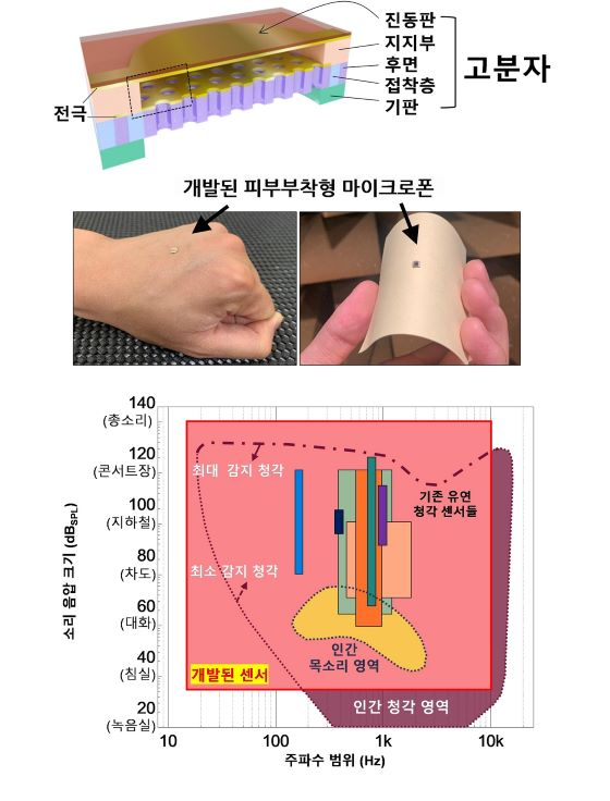 고분자 기반 피부부착형 마이크로폰의 모식도, 부착 사진, 감지 성능 비교 그래프 /사진=포스텍