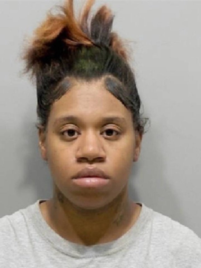 미국에서 3살 아들을 살해하고 냉동실에 시신을 보관한 여성이 재판에 넘겨졌다./사진=디트로이트뉴스