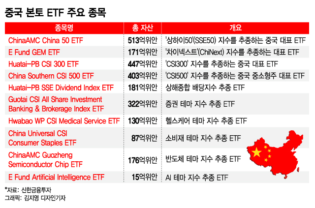 중국 본토 ETF 주요 종목. /그래픽=김지영 디자인기자