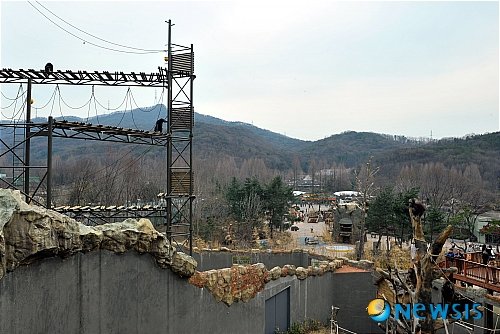 서울대공원 동물원의 침팬지 야외 방사장에 설치된 타워. 다른 침팬지 4마리가 여기서 자유로이 매달릴 때, 광복이와 관순이는 그러지 못했다./사진=뉴시스