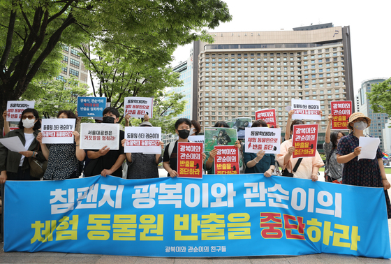 서울동물원 침팬지' 11년 홀로 두더니, 이젠 5200km 떨어진 곳으로… - 머니투데이 서울동물원 침팬지' 11년 홀로 두더니, 이젠 5200Km 떨어진 곳으로… - 머니투데이