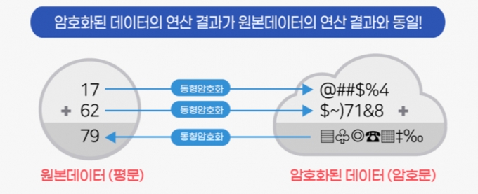 동형암호 개념도 /사진=금융위원회