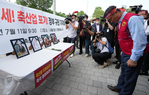 (서울=뉴스1) 김진환 기자 = 축산관련단체협의회가 11일 오전 서울 용산구 전쟁기념관 앞에서 수입축산물 무관세 정부 규탄 기자회견을 열고 축산물에 헌화하는 퍼포먼스를 하고 있다. 2022.7.11/뉴스1   