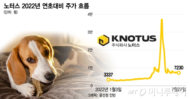 "3만원에 산 주식, 7000원" 무상증자 대장주, 결국 -80% 급락