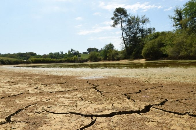가뭄으로 바닥을 드러낸 프랑스의 한 연못/AFPBBNews=뉴스1