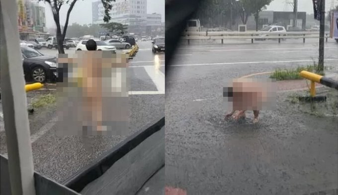 경기 안산시에서 한 남성이 나체로 비를 맞으며 길거리를 활보하고 있다. /사진=온라인 커뮤니티