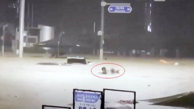 8일 밤 9시쯤, 강남역과 교대역 사이 사거리에서, 물 속에 고립돼 있던 운전자를 구조하는 표세준 국방홍보원 주무관(27)의 모습./사진=JTBC 뉴스 화면