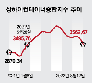 '운임 꺾인다' 9년 만에 다시 벌크선 카드 빼드는 HMM