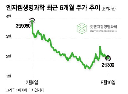 上 찍은 엔지켐생명과학...167만주 보유한 KB증권 '장투'냐 '손절'이냐