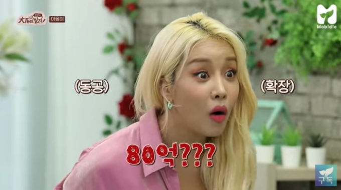 아옳이, 두번의 사업 실패→연매출 80억 대박…성공 비결은?