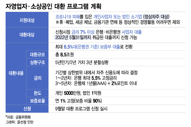 신규법인사업자대출, 정부지원 범위는 어디까지? 7