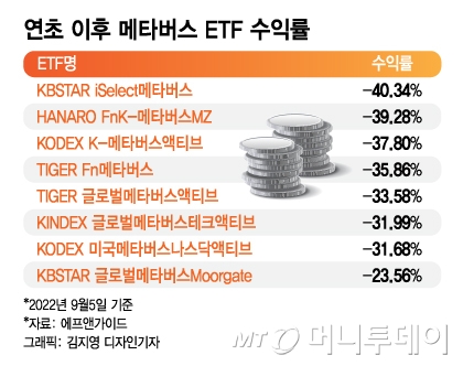메타버스 올라탔던 개미 속앓이…48% 뛰었던 주가 63% 폭락