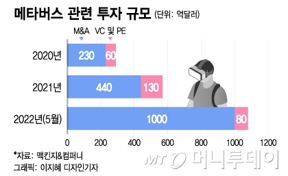 내가 투자한 건 메타버스가 아니다? '5조달러' 시장을 의심하는 이유