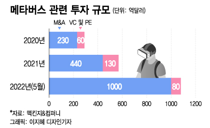 1500% 폭등 일으키던 메타버스 탔더니 폭락…반등은 먼 미래?