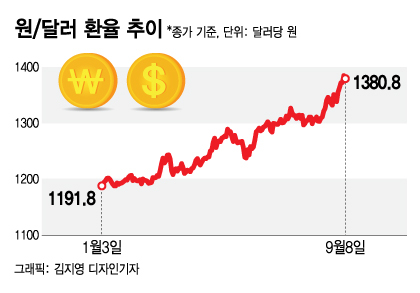 '1$=1450원'도 가능하다...고환율 시대 속 '수혜주' 무엇 있나