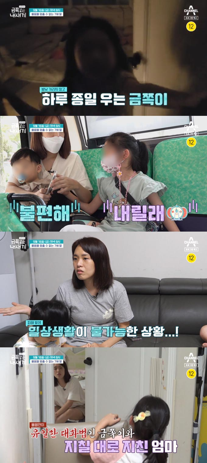 /사진=채널A '요즘 육아-금쪽같은 내 새끼' 예고 영상 캡처