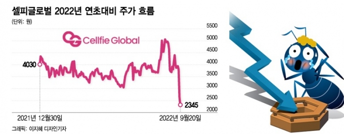 '강력 매수'라더니 '하한가'…애널리스트에 발등 찍힌 개미