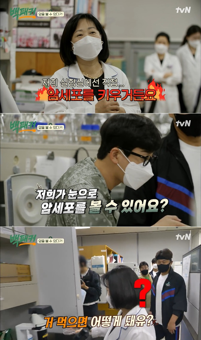 /사진=tvN '백패커'