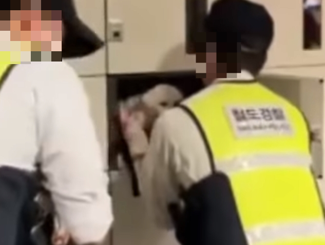 철도역 물품보관함에 유기돼 있던 푸들 /사진=동물권단체 케어
