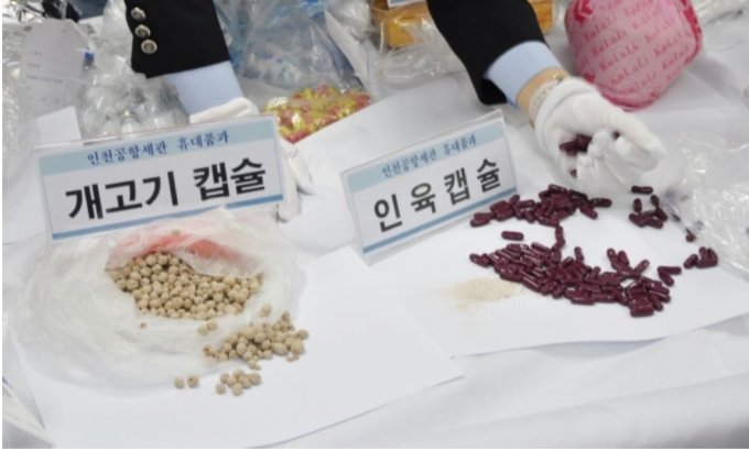 2013년 인천공항세관에서 적발한 인육캡슐과 개고기캡슐./사진=뉴스1