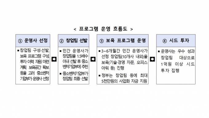 시드 팁스 프로그램 운영 흐름도 /사진제공=중기부